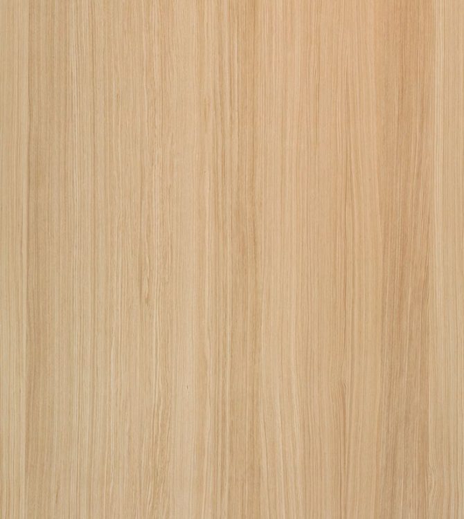 Beech Wood Supplier In UAE