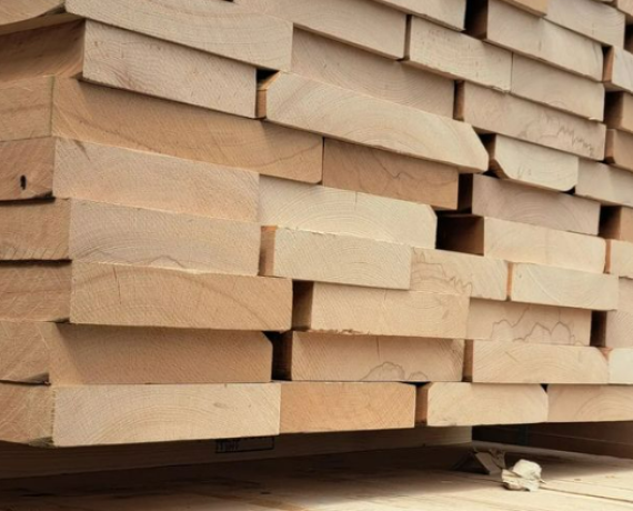 Beech Wood Supplier In UAE